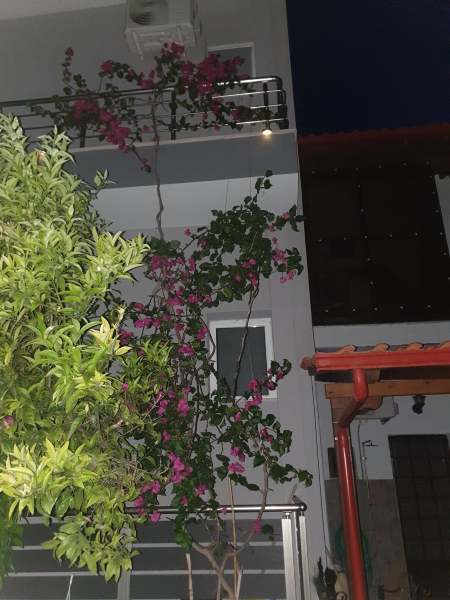Apartmán το σπιτι της μπρουνας